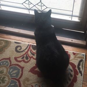 Meet your Posher, Isabel